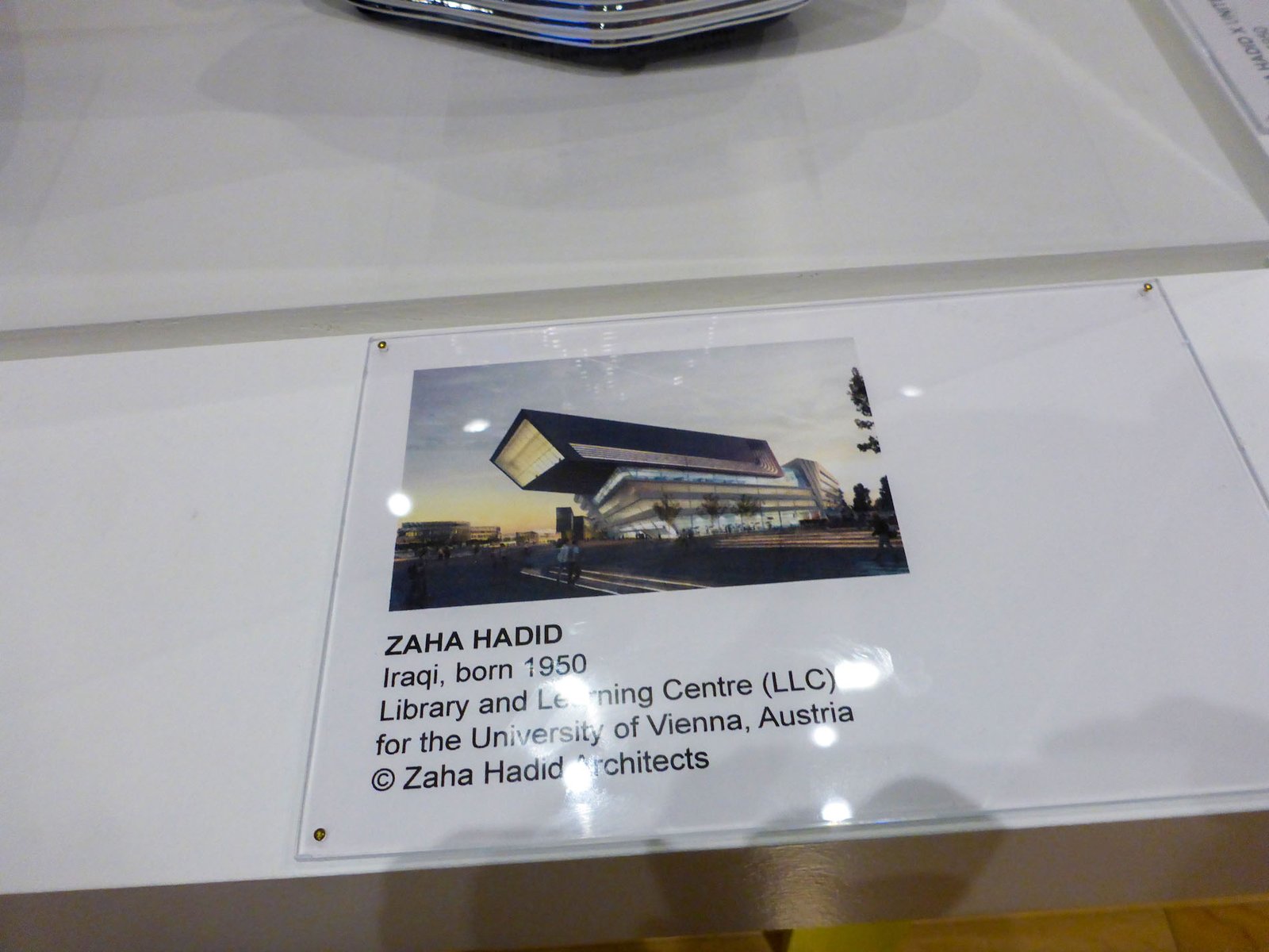 Palm Springs Killer Heels 07